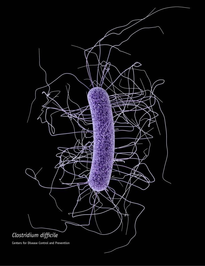clostridiumdifficilecdc