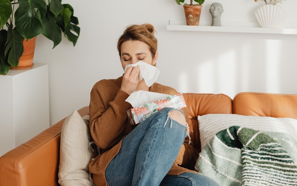 how-to-keep-your-home-clean-to-avoid-fall-allergies-5-essential-tips